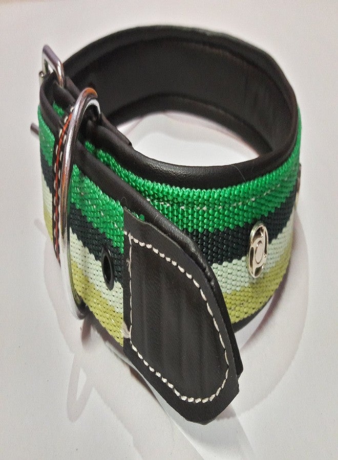 Ocean Wave Petsplanet Dog Collar with Stylish Design - Tri Color Strip - Image 2